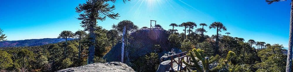 Parque Nacional Nahuelbuta